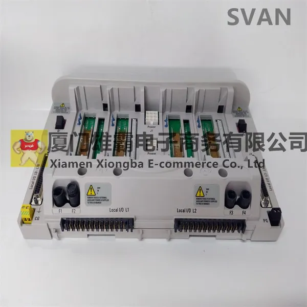 5X00790G01 Analog Input Module EMERSON photo-3