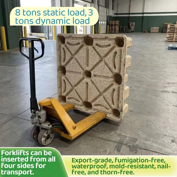 Dedicated Molded Wood Pallets for Sea Freight Water-Resistant, Mold-Resistant, Fumigation-Free, and Facilitating Rapid Customs Clearance