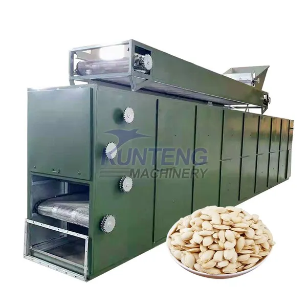 Sécheur automatique à bande de mailles multicouche pour graines de tournesol, équipement de séchage continu pour graines de citrouille EPC