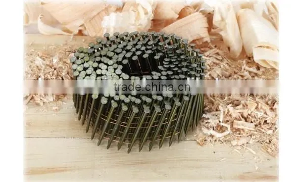 Factory Price Hot Dipped Galvanized Coil Nail photo-5