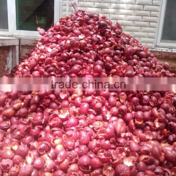 Longan Sheller photo-3