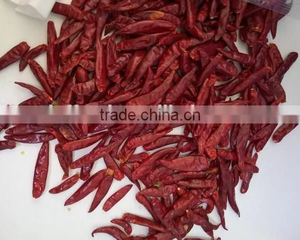 Dry Red Chili With High Quality photo-2