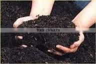 Neem Soil photo-2