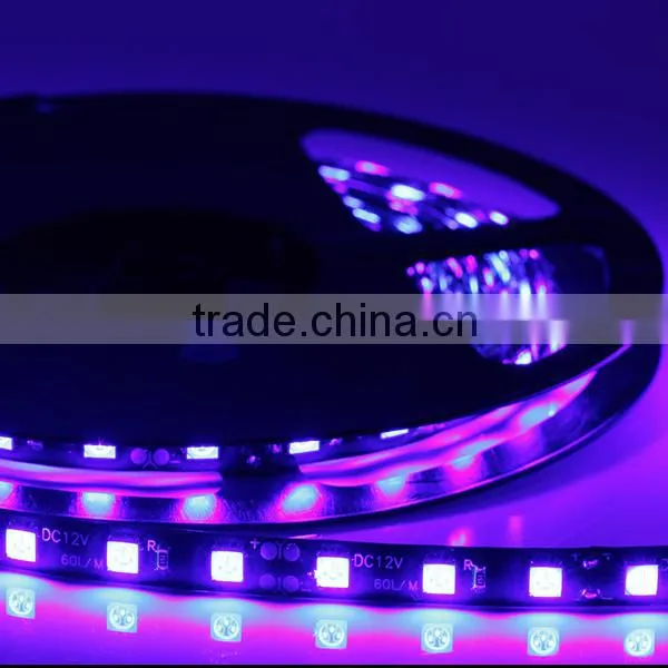 Good Quality 12V Flexible LED Strip Light 5050 LED Lighting Waterproof IP65 Strips Lights Black PCB photo-2