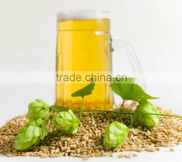 hot beer barley in summer,origin Australia