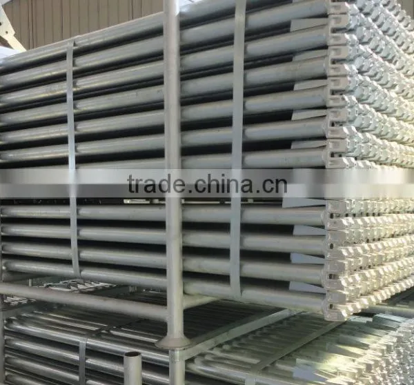 Low Price Ringlock System Scaffolding for Sale photo-3