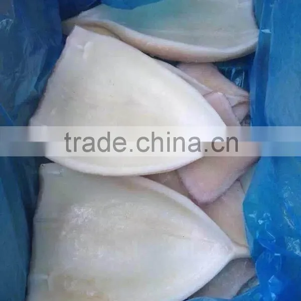 2016 Newly Catch Fresh High Quality Squid Fillets From China photo-3