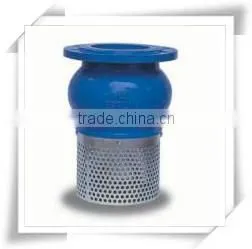 Made in China , 100mm Foot Valve With Strainer Price