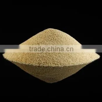 Dried Garlic Granule photo-4
