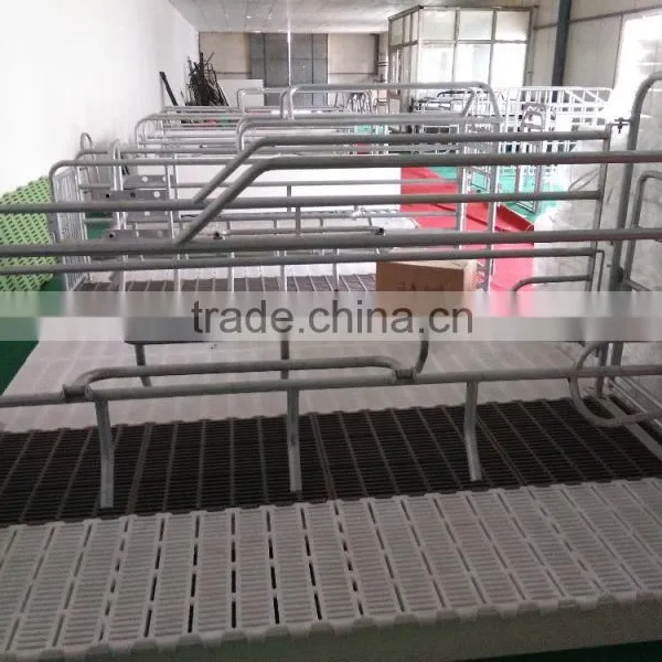 Pig Farrowing Crate/ Pig Farm Equipment
