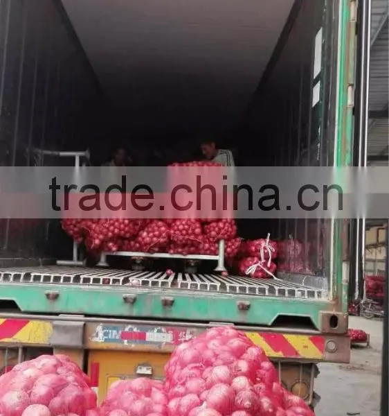 Fresh Red Onions for Sale Types Red Onions Lowest Price Fresh Red Onion photo-2