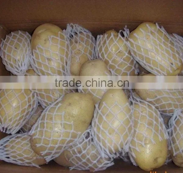 New Crop Fresh Shandong Potato for Sale photo-3