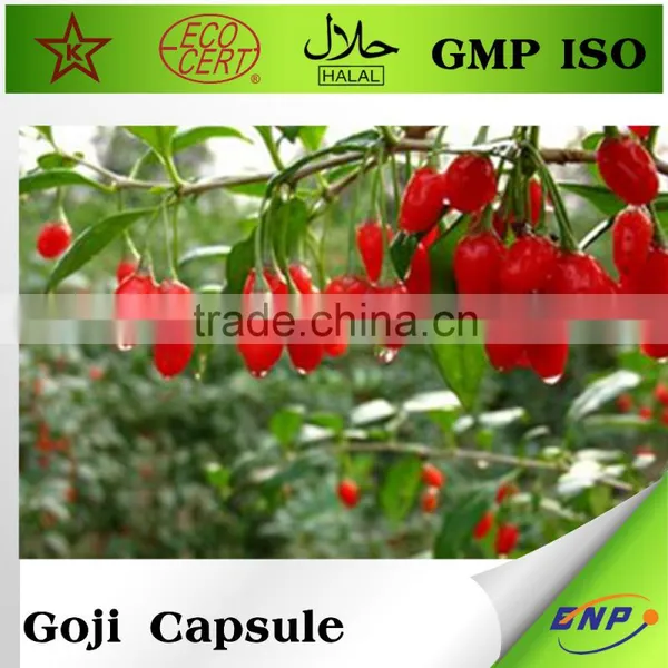 BNP Suppliers GMP Goji Berries Organic Capsules photo-3