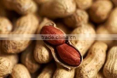 Peanuts in Shell photo-2