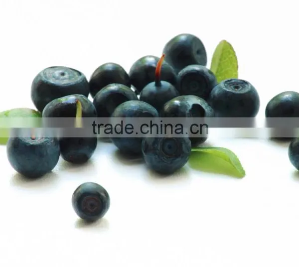 Natural High Quality Black Currant P.E./Black Currant Extract/Black Currant Extract Powder/Black Currant Powder photo-3