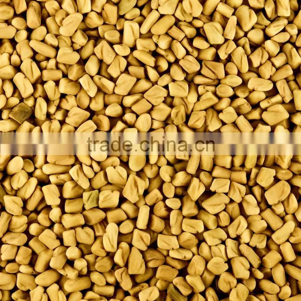 High Quality Fenugreek Seed