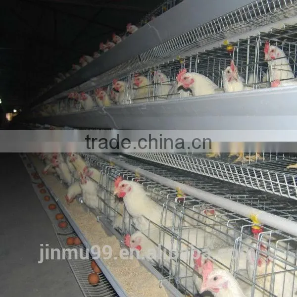 A Type Animal Cage Layer Hen Battery Cage for Sale