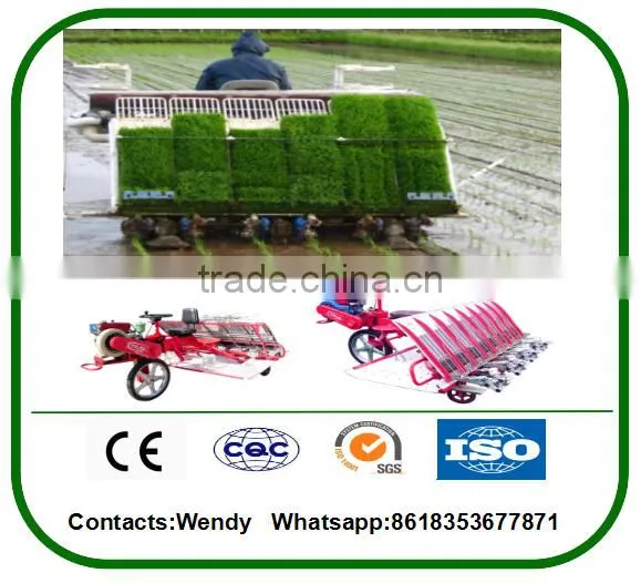 New Model Agriculture Tool Machine 6 Row Rice Transplanter Price for Sale photo-3