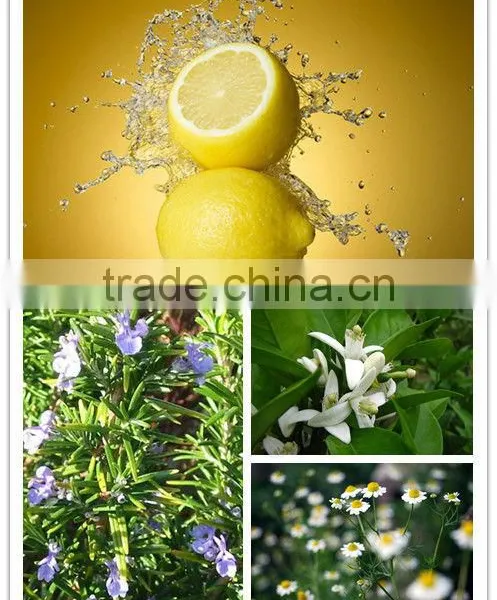 Best Quality Herb Extraction Equipment for Sale photo-3