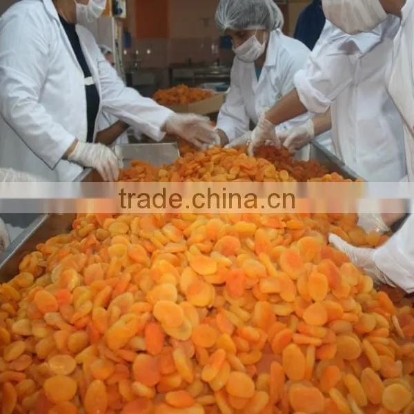 Sterilization Machine photo-3