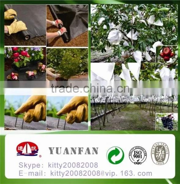 EURO-MARKET BSCI PASS - Hot Sell 2016 Eco-friendly 100%pp Spunbond Nonwoven Fabric for Agriculturel / Garden photo-5