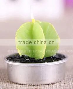 Cactus and Grape Plant Birthday Scented Candle photo-3