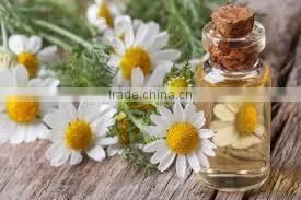 Pure Chamomile Oil photo-2