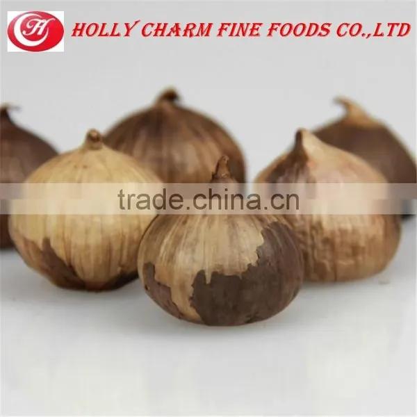 Hot Sale Healthcare Product Solo Black Garlic photo-3