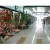 Yiwu Agent