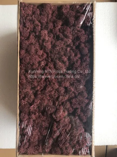 Premium Quality 100% Natural Moss Wreath Wholesale