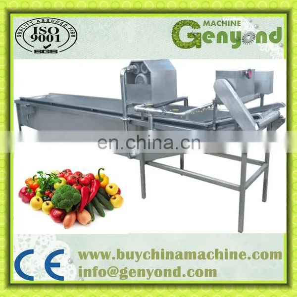 High Quality Washing Machine|Dragon Fruit Washing Machine|Vegetable Washing Machine photo-2