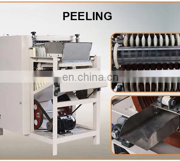 Taizy Hot Sale Popular Wet Way Peanut Peeling Machine photo-6