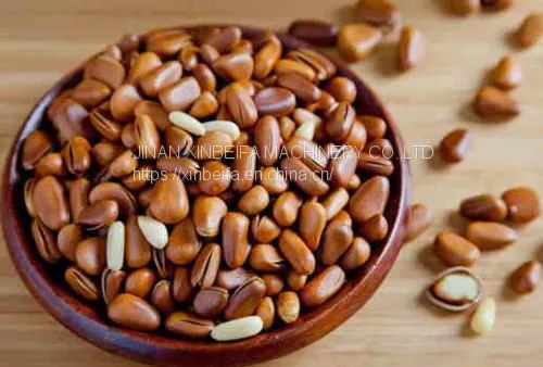Pine Nut Kernel Drying Machine photo-4