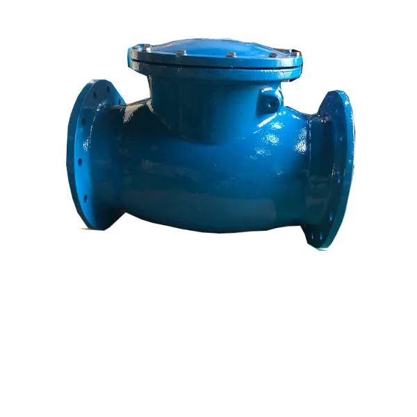 Cast Iron CLASS 150 LB Flange Swing Check Valve photo-4