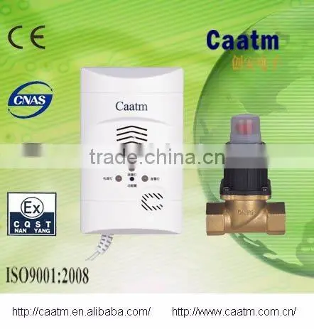 CA-386D Home Combustible Gas Detector With Valve