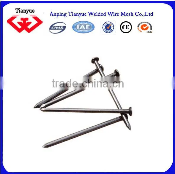 Stainless Steel Nails Manufacturer(15 Years Export Experience) photo-3