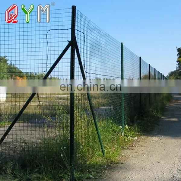 Economical PVC Coated Wire Mesh Holland Euro Fence for Farm Boundary photo-5