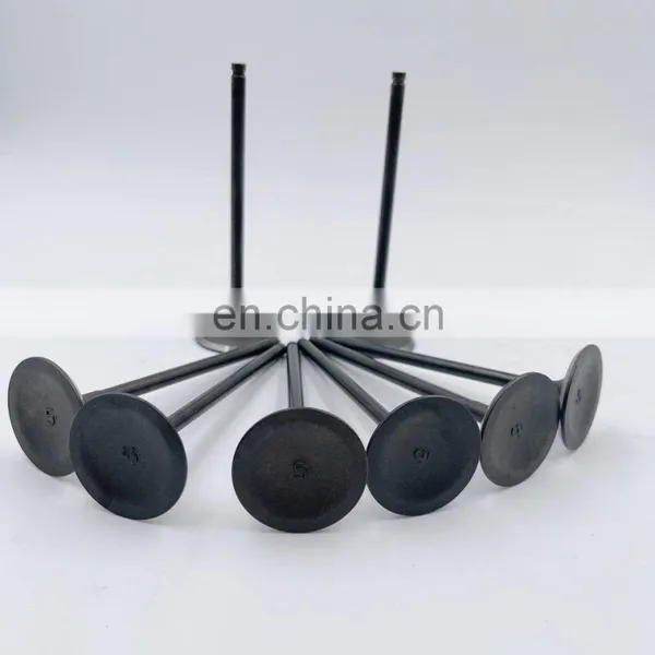 Car Spare Parts Engine High Quality Valve Intake and Exhaust 14711-pna photo-5