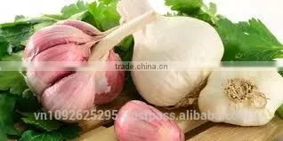 FRESH GARLIC photo-2
