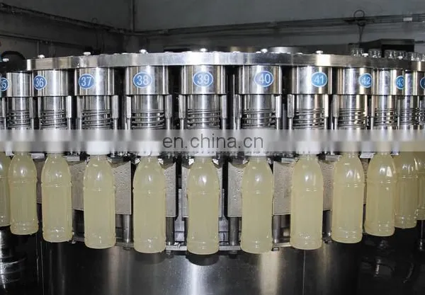 Shanghai Genyond Factory Compound Apple Juice Pressing Equipment Extractor Extracting Machine Plant Fruit Juicer Machine photo-4