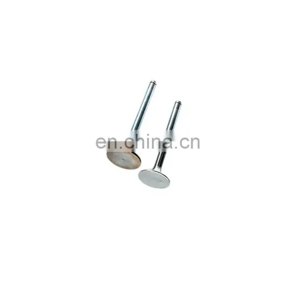 Sinotruk Sitrak China Heavy Duty Truck Engine Spare Parts 200V04101-0574 The Inlet Valve photo-2