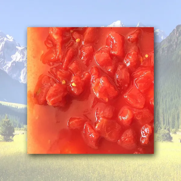 Diced Tomato In 220L Drums photo-4