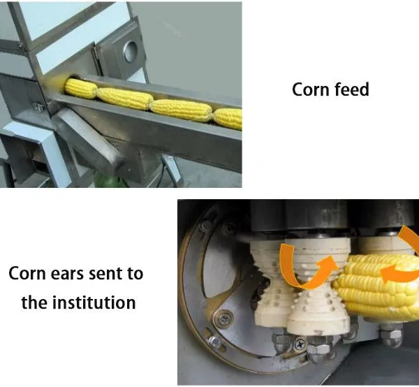 Maize Thresher Sweet Corn Threshing Machine Fresh Corn Sheller photo-4