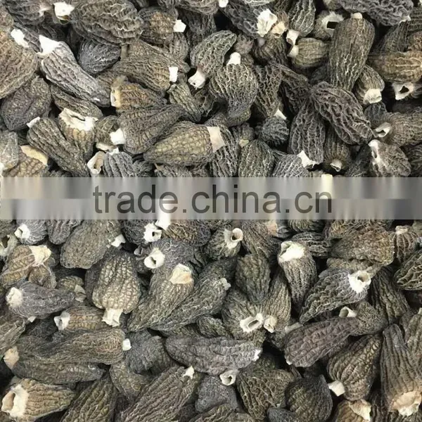 Price of Black Morel Mushroom photo-2
