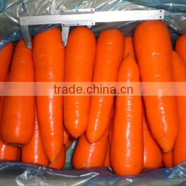 2016 Chinese Fresh Carrot/fresh Carrot/red Fresh Carrot in China