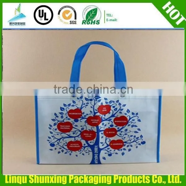 Non Woven Bag/reusable Shopping Bags photo-5