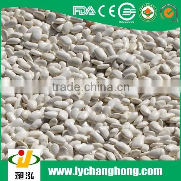 China New Crop Blanched Peanut Kernels 25/29, 29/33, 36/41 photo-3