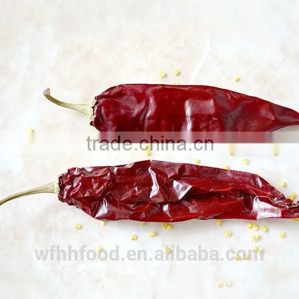 Top Quality Sweet Paprika Chilli photo-4