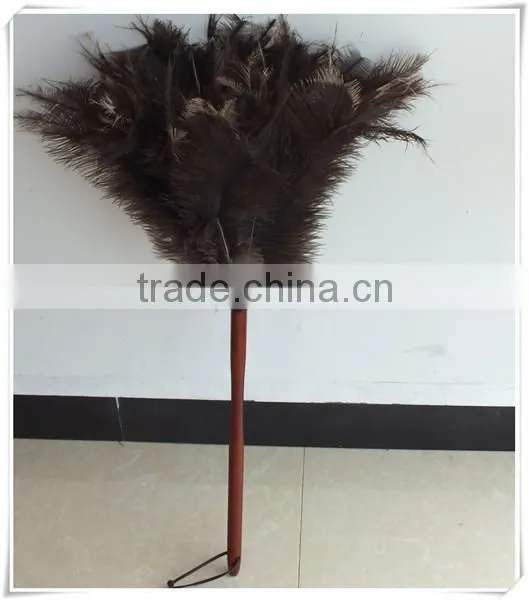 Ostrich Feather for Factory photo-4
