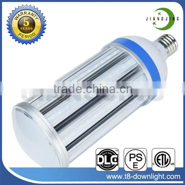 Wholesales Factory Direct Outdoor LED Corn Light LED Garden Spot Light photo-4